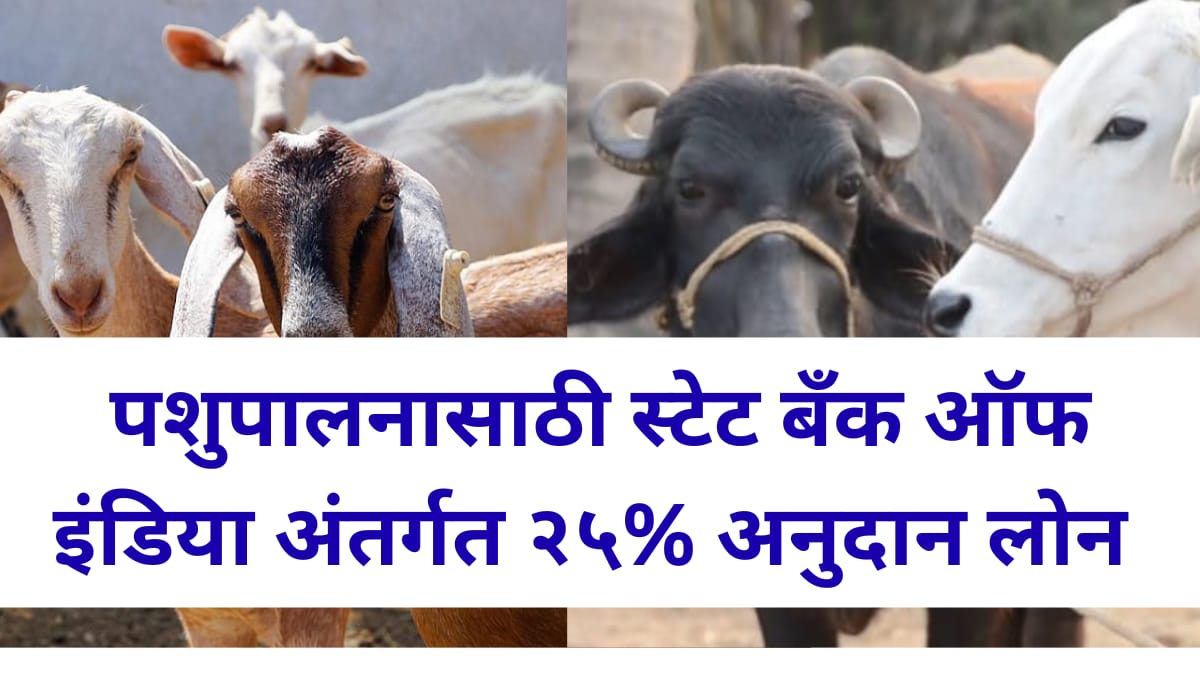 sbi pashupalan loan 2026